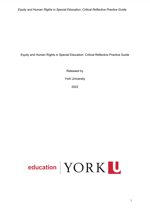 Equity and human rights in special education : critical reflective practice guide