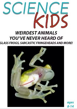Weirdest Animals You've Never Heard Of : Glass Frogs, Sarcastic Fringeheads and More!