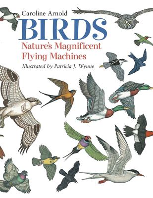 Birds : nature's magnificent flying machines. part 2