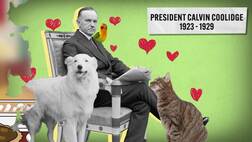 First Pets of the White House