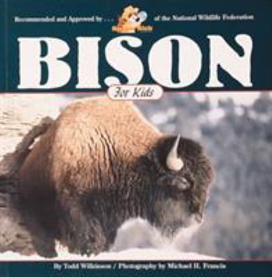 Bison for kids