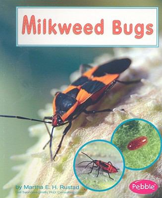 Milkweed bugs