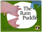 The rain puddle