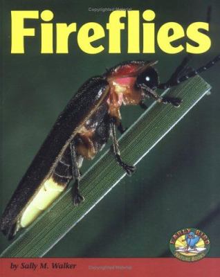 Fireflies