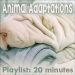 Animal adaptations : playlist