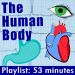 Human body : playlist