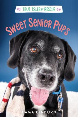 Sweet senior pups