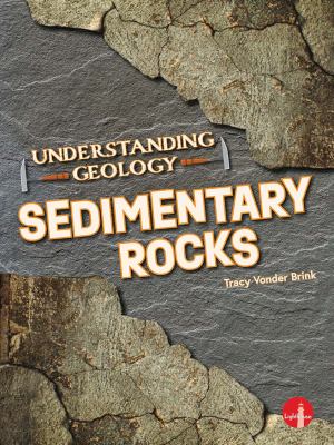 Sedimentary rocks