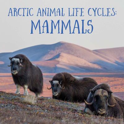 Arctic animal life cycles : mammals