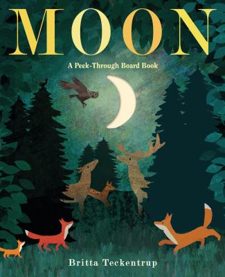 Moon : a peek-through board book