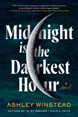 Midnight is the darkest hour : a novel