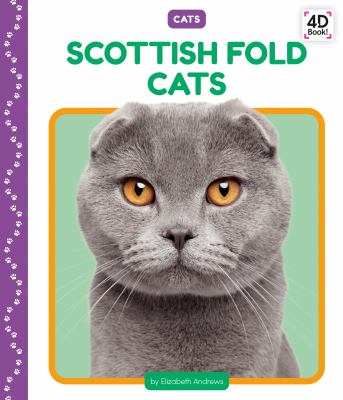 Scottish fold cats