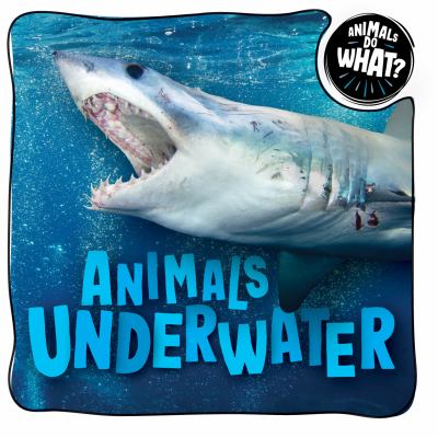 Animals underwater