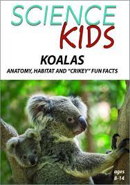 Koalas : Anatomy, Habitat and "Crikey" Fun Facts
