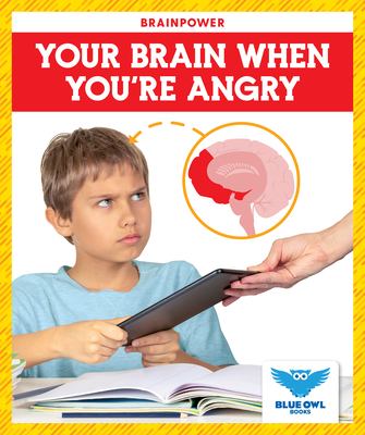 Your brain when you're angry