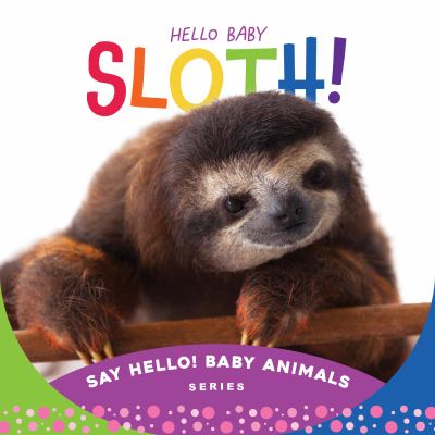 Hello baby sloth!