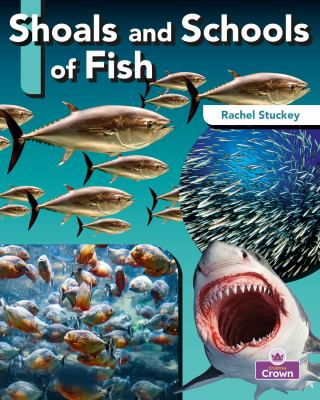 Shoals and schools of fish