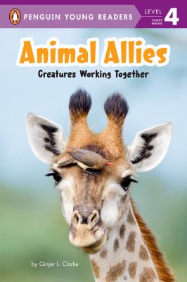 Animal allies : creatures working together