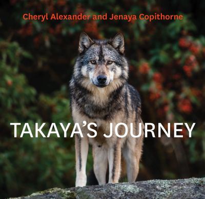 Takaya's journey