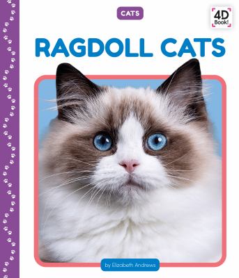 Ragdoll cats