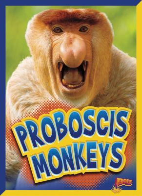 Proboscis monkeys