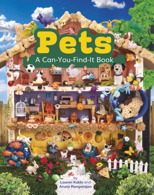 Pets : a can-you-find-it book