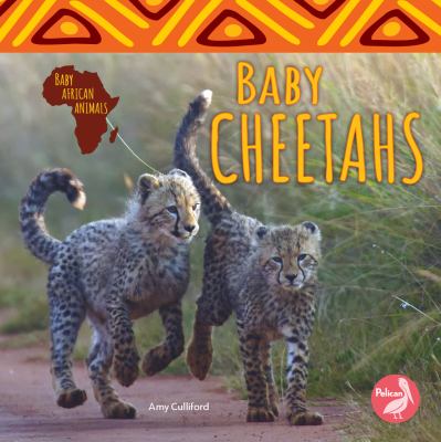 Baby cheetahs