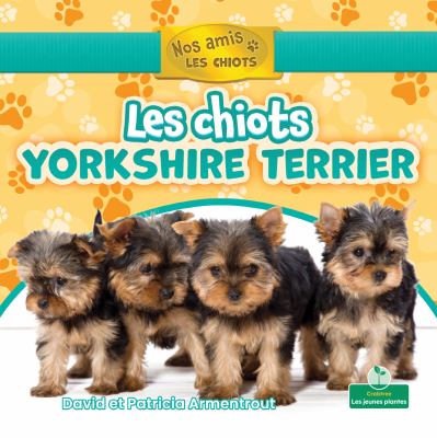 Les chiots yorkshire-terrier