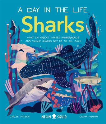 Sharks : what do great whites, hammerheads, and whale sharks get up to all day?