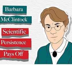 Barbara McClintock : Scientific Persistence Pays Off