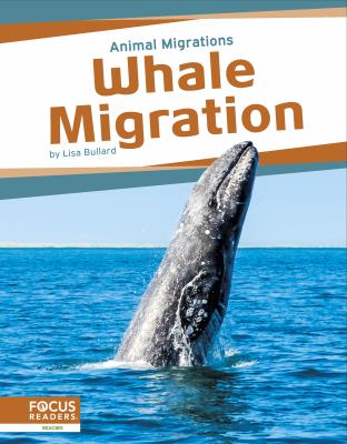 Whale migration