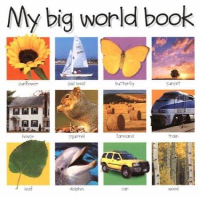 My big world book