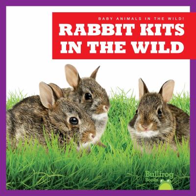 Rabbit kits in the wild