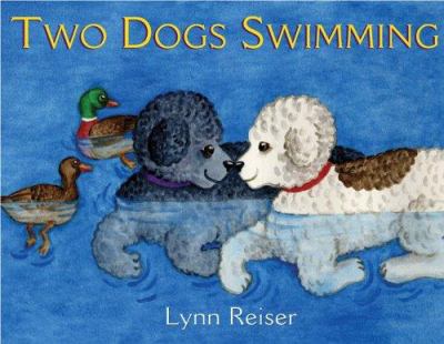 Two dogs swimming