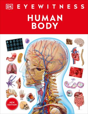 Human body