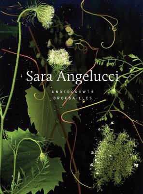 Sara Angelucci : Undergrowth = Broussailles