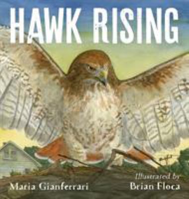 Hawk rising