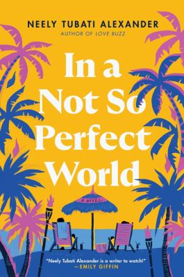 In a not so perfect world : a novel