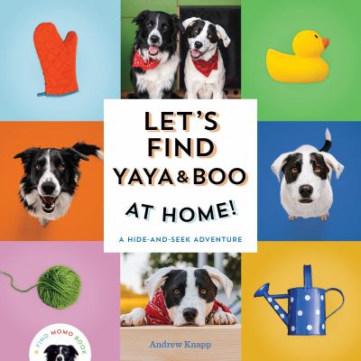Let's find Yaya & Boo at home! : A hide-and-seek adventure