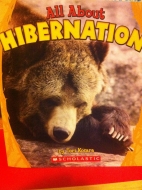 All about hibernation