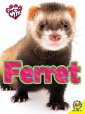 Ferret