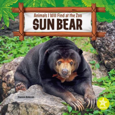 Sun bear