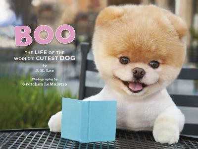 Boo : the life of the world's cutest dog