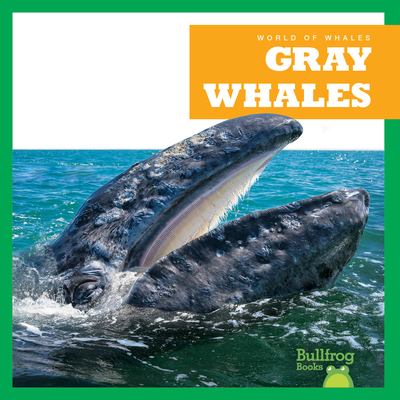 Gray whales