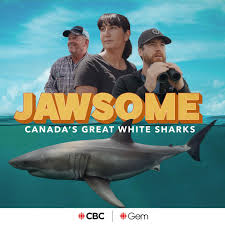 Jawsome :  Canada's Great White Sharks