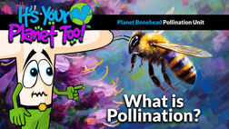 The Buzz on Pollination, : How Honey Bees Power Agriculture
