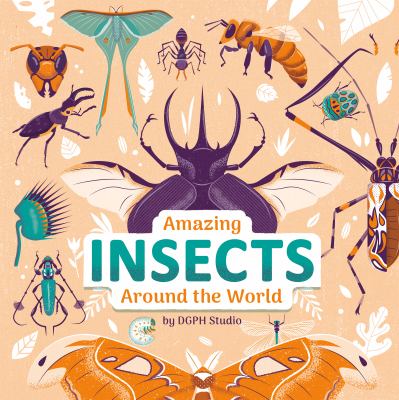 Amazing insects around the world