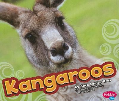 Kangaroos