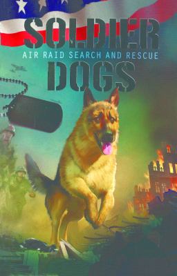 Air raid search and rescue
