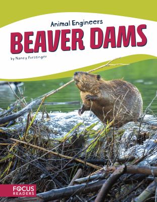 Beaver dams